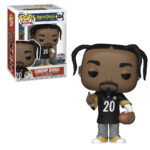 Snoop Dogg in Steelers Jersey